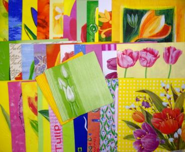 SOPO-014 Tulpen - 30+2 Stück